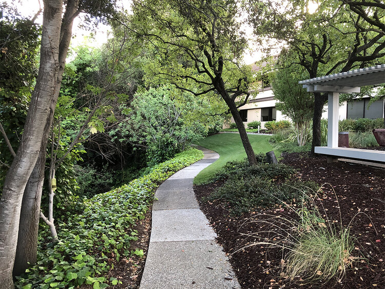 Concrete Walkway through House Verdant Garden