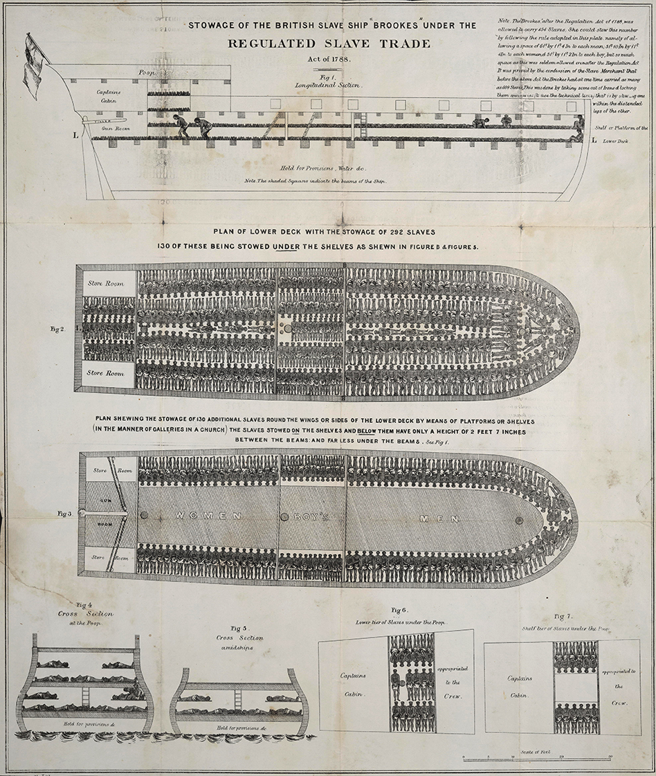 Historic Slave Ship Diagram